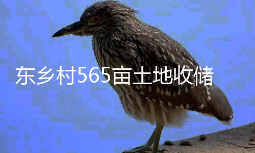 东乡村565亩土地收储项目表决通过：广州南浦岛东部将迎巨变