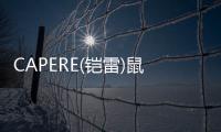 CAPERE(铠雷)鼠标垫护腕 慢回弹 亲肤电脑办公舒适硅胶黑色手托